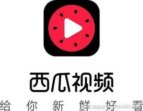 抖音各种吃瓜小视频下载,揭秘娱乐圈幕后故事