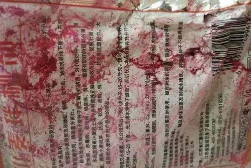 二哈可以吃吊瓜吗视频讲解,宠物饮食揭秘