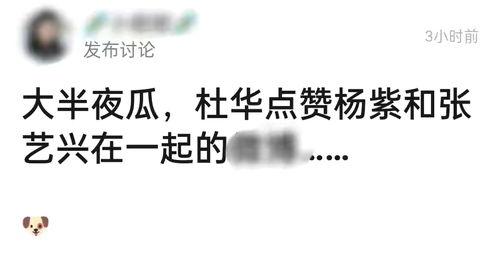 吃瓜博主爆料视频,视频内容大揭秘！