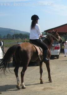 詹娜骑马吃瓜视频播放全集,一场视觉盛宴的狂欢之旅