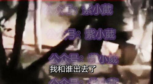 泰安吃瓜最新事件视频,视频揭秘惊人内幕