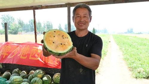 西昌近期吃瓜事件视频,一场网络热议背后的真相揭秘