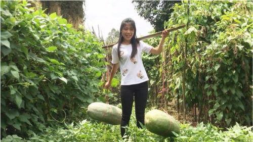 吃瓜的视频去哪里看到的,吃瓜视频的来源与传播途径