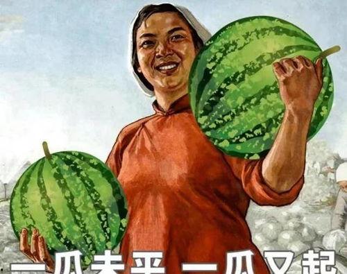 印度一家人吃瓜视频大全,趣味视频大盘点