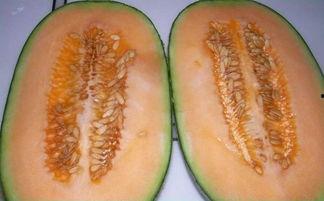 切哈密瓜的籽怎么吃视频