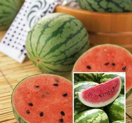 五人吃瓜视频,揭秘娱乐圈幕后真相