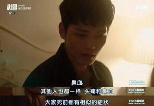 我的高能时刻吃瓜视频,一场视觉盛宴的狂欢