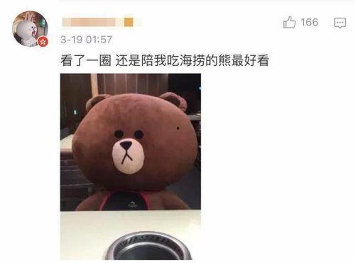 吃瓜小熊原声视频,萌态可掬，笑声连连