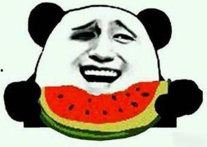 吃瓜群众祈祷完整版视频,揭秘网络热传视频背后的感人故事