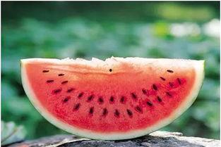 浪山视频吃瓜,揭秘娱乐圈吃瓜背后的真相