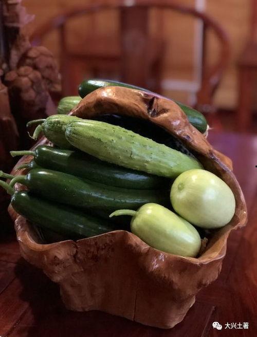 知名网红吃瓜视频下载大全,一网打尽精彩瞬间