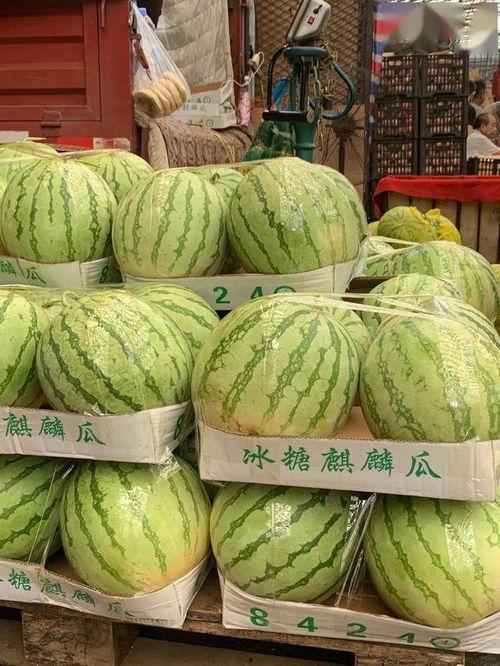 假吃瓜怎么做好吃的视频,跟着视频学做家常佳肴