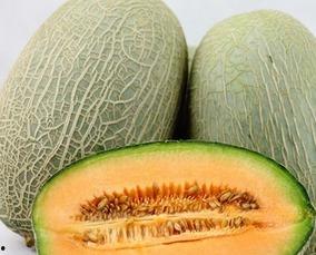 减肥吃哈密瓜视频,轻松享“瘦”，美味与健康的完美结合