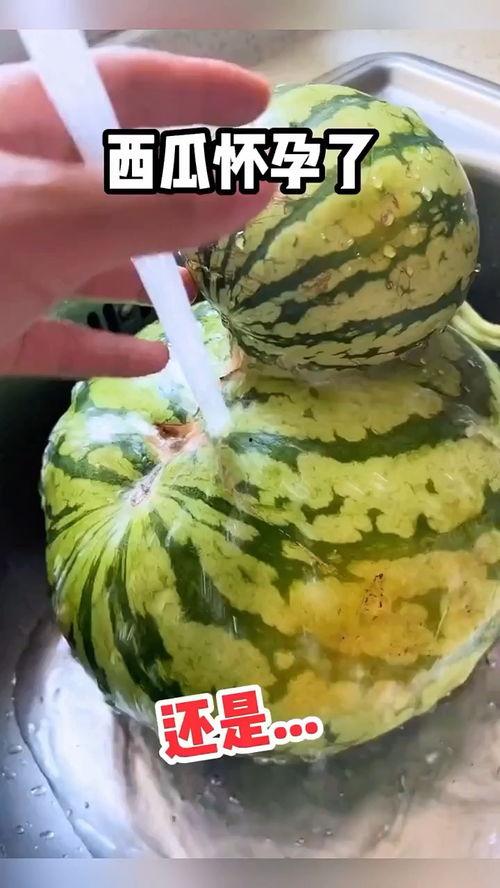 医院吃瓜搞笑视频,吃瓜群众笑翻全场