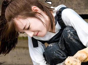 吃瓜群众小绵羊视频