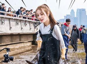 吃瓜群众小绵羊视频