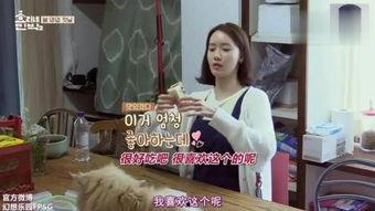 允儿吃瓜视频在线观看网站,独家在线观看，揭秘明星幕后趣事