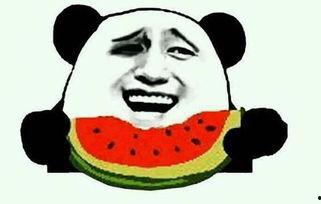 恶补吃瓜的视频,揭秘热门事件背后的真相与笑料