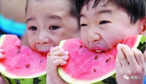 瓜哥带你吃瓜西瓜视频,瓜哥带你领略西瓜视频的甜蜜瓜界盛宴