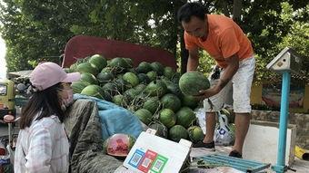 山东济宁吃瓜事件视频,一场引发热议的网络视频风波