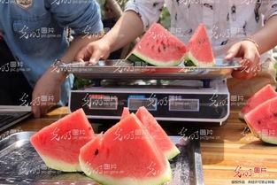 山东济宁吃瓜事件视频,一场引发热议的网络视频风波