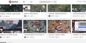 hypixel吃瓜视频,一窥游戏世界里的趣味瞬间