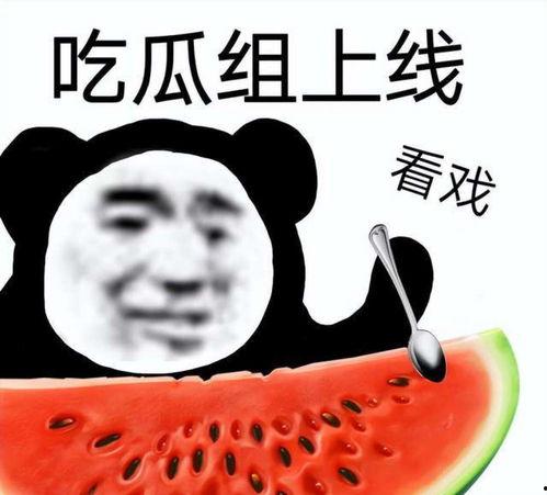 吃瓜奇葩视频在线观看,吃瓜奇葩视频在线观看大揭秘