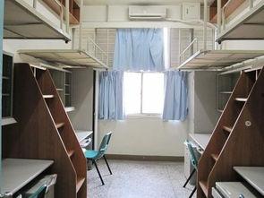 宿舍吃瓜完整视频超长,全程超长视频精彩回顾