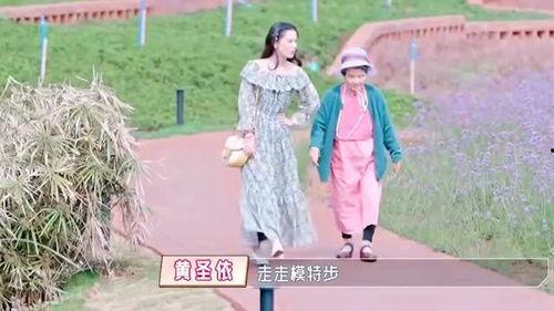 吃瓜树下闺蜜俩人视频,闺蜜俩人视频里的欢乐时光