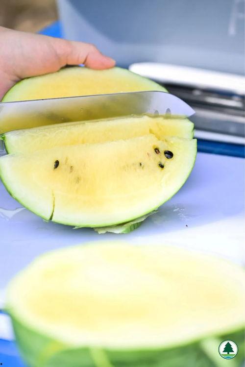 最近香港吃瓜视频,吃瓜群众热议不断