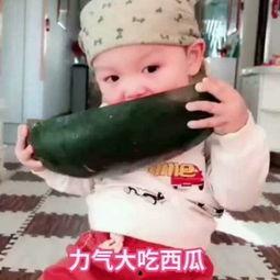 小飞侠吃瓜小视频大全集,视频大全集深度解析