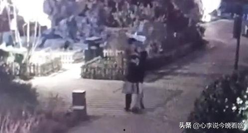 巫山吃瓜事件视频,一场网络狂欢背后的真相与反思