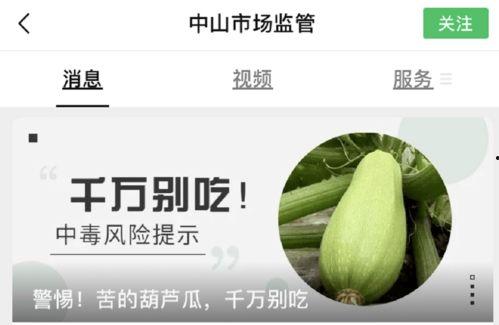 父子吃葫芦瓜中毒了视频