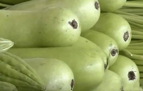 父子吃葫芦瓜中毒了视频