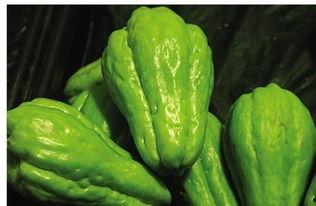 吃佛手瓜用去籽吗视频,美味无籽，轻松享用