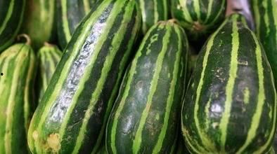 黑梢瓜怎么吃最好吃视频,视频教你如何吃出最佳口感