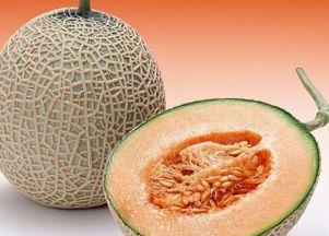 哈密瓜怎么切给客户吃视频,轻松呈现美味佳肴