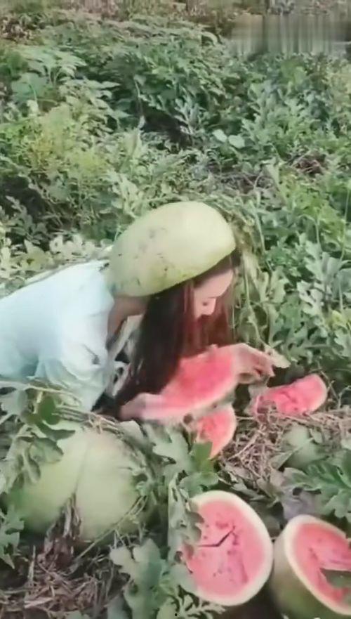 漂亮姐姐吃瓜视频,跟随漂亮姐姐一起探索娱乐圈的甜蜜秘密