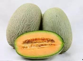 给驴哥吃哈密瓜视频,甜蜜滋味尽收眼底