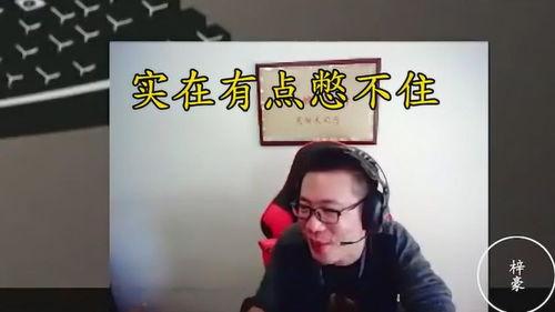 马老师吃麻瓜视频,趣味横生体验大揭秘