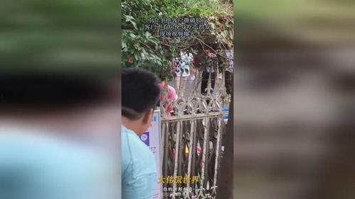 吃瓜爆笑现场视频,笑翻全场！吃瓜爆笑现场视频盘点