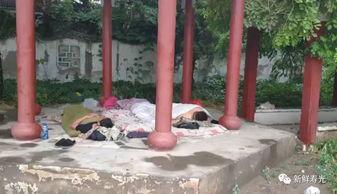 搞笑凉亭吃瓜视频,带你领略欢乐时光