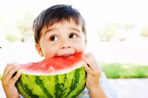 乳瓜如何给宝宝吃啊视频,乳瓜宝宝辅食制作与食用指南