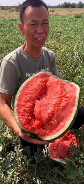 吃瓜有颜色的视频在线观看