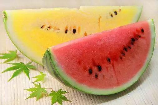 黄料吃瓜免费视频