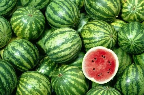 杭州5万人吃瓜视频,全民瓜宴狂欢瞬间