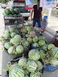 漳州万达吃瓜事件视频,一场网络热议的围观风波