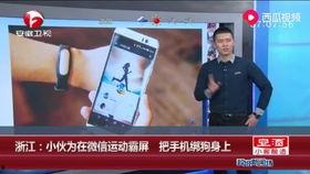 吃瓜被打哭视频大全,视频大全揭露网络暴力真相