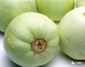 锐子吃瓜的视频,揭秘娱乐圈幕后故事