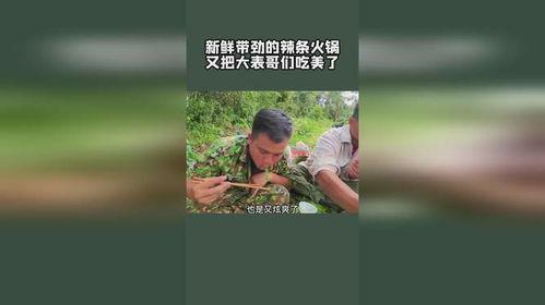 瓜哥吃瓜大表哥抓鱼视频